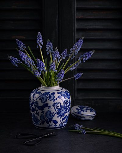 Nature morte Raisins bleus (Muscari)