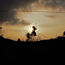 Parade in der untergehenden Sonne...oder doch nicht? von Anke Winters