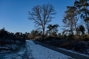 Die Sonne geht auf und der Schnee verschwindet von Martijn Van Mierlo