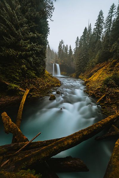 Cascade de Koosah. par Maikel Claassen Fotografie