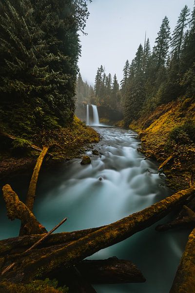 Koosah-Wasserfall. von Maikel Claassen Fotografie