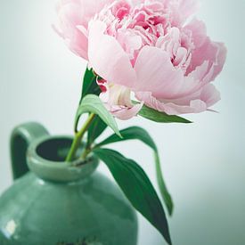Stilleven roze pioenroos vintage look van Natascha Teubl