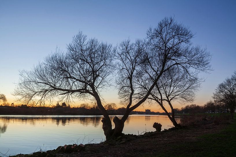 Baum an der Weser  von Torsten Krüger