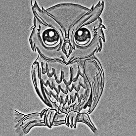 Owl ( drawing ) and edited it digitally. by Jose Lok