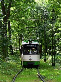 Tram en vert sur Arno Lambermont