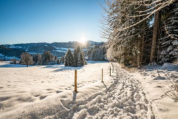 Winteruitzicht op de Hochgrat in de ochtend van Leo Schindzielorz