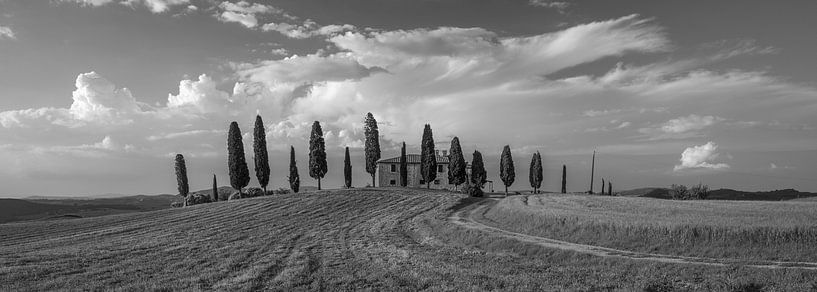 Toscane monochrome au format 6x17, Agriturismo I Cipressini par Teun Ruijters