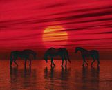 Arabische Pferde in der Abenddämmerung von Jan Keteleer Miniaturansicht