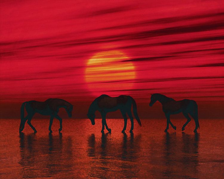 Arabische Pferde in der Abenddämmerung von Jan Keteleer