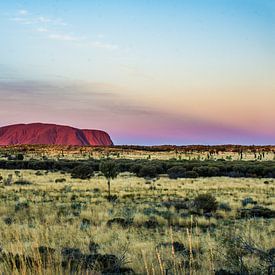 Ayers Rock - Uluru at sunset by Rowan van der Waal