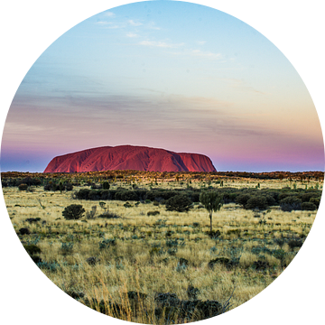 Ayers Rock - Uluru bij zonsondergang van Rowan van der Waal