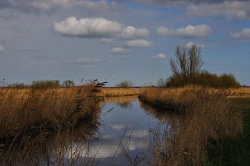 Vergezicht Friesland