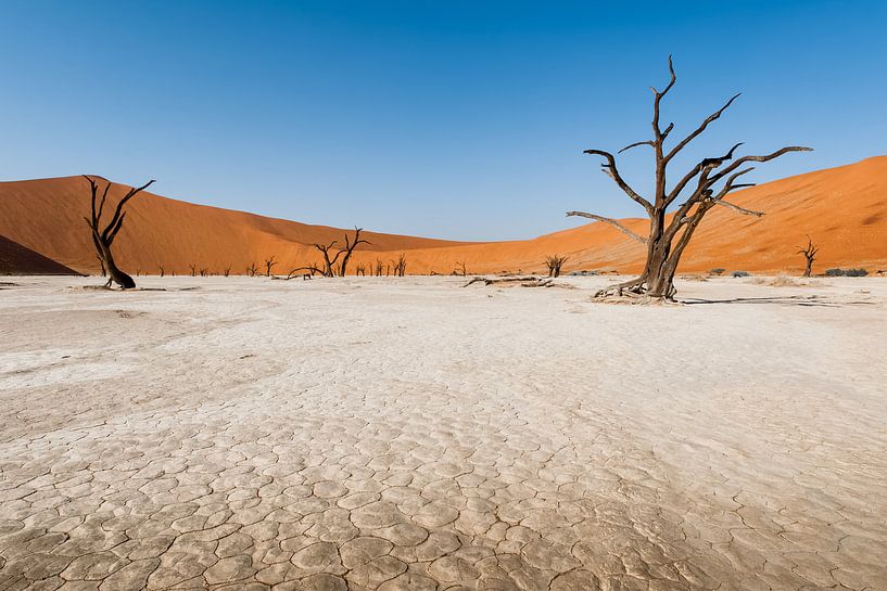 Deadvlei, Namibie, Afrique. par Ramon Stijnen