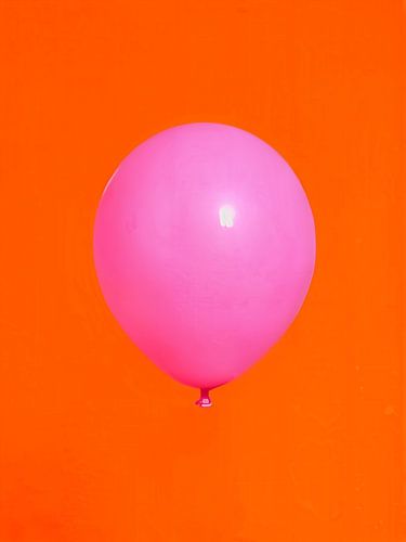 Pink balloon loves orange