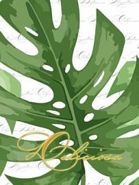 Monstera auf Weiß mit Deliciosa als Triptychon 2 v. 3 von AidasignArt