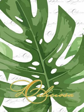 Monstera sur fond blanc avec Deliciosa en triptyque 2 sur 3