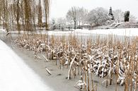 Sneeuw en ijs op water van vijver. van Ben Schonewille thumbnail