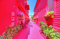 Rosa Straat Puerto Plata Paseo de do'a Blanca van Roith Fotografie thumbnail