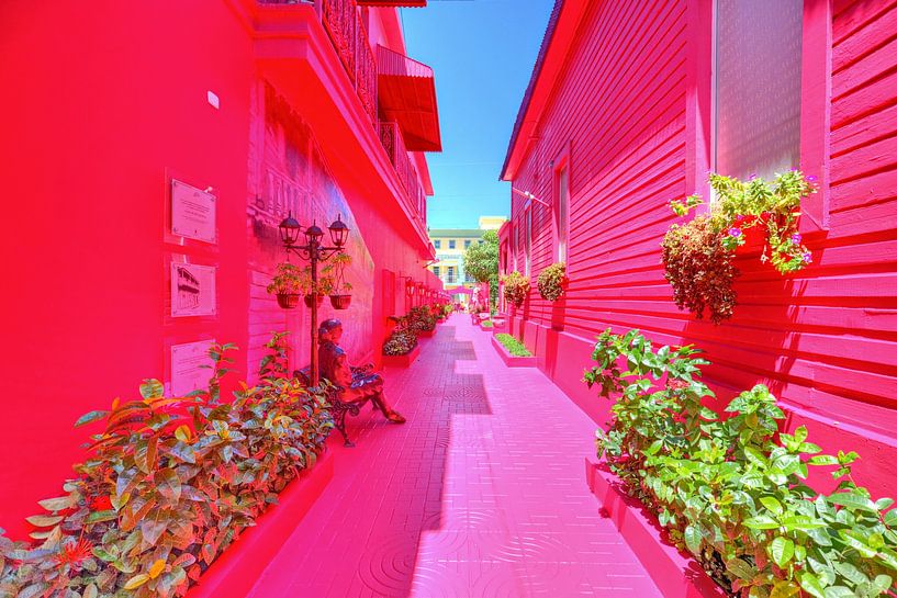 Rosa Straat Puerto Plata Paseo de do'a Blanca van Roith Fotografie