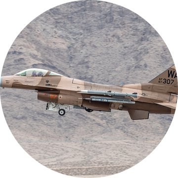 General Dynamics F-16C Fighting Falcon. van Jaap van den Berg