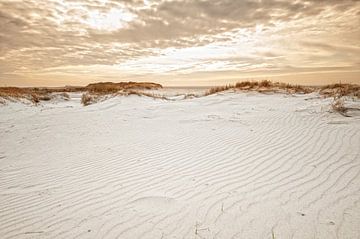 Dunes in the evening light van Dirk Thoms