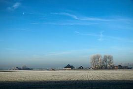 Dutch landscape in winter