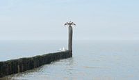 0425 Zeeland