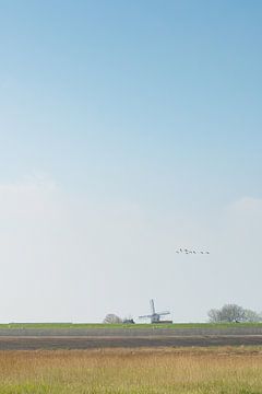 Un moulin en Frise (Les Pays-Bas) par une belle matinée de printemps sur Michel Geluk