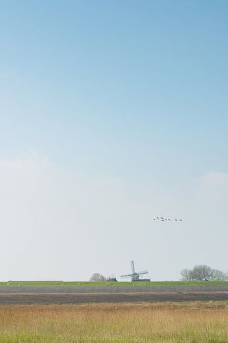 Een molen in Friesland op een mooie lente ochtend