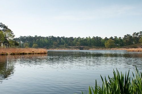 Hatertse en Overasseltse Vennen