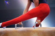 Close-up van een gymnast op het paardvoltige van Udo Herrmann thumbnail