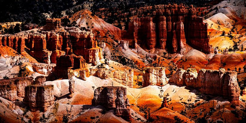Landscape with hoodoos in Bryce Canyon National Park by Dieter Walther