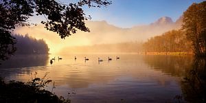 Schwanensee
