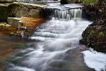 Der Fluss Ilse im Nationalpark Harz