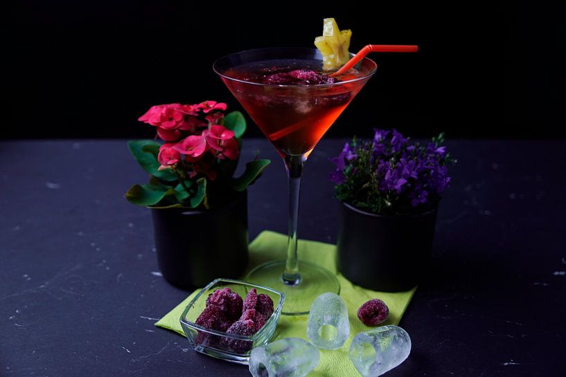 Rum trifft auf Zitrone Himbeere und Orange. Leckere und fruchtige Cocktails im Glas serviert von Babetts Bildergalerie
