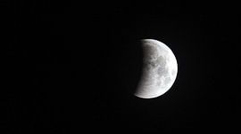 Lune sur Marina Nieuwenhuijs