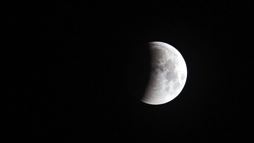 Moon by Marina Nieuwenhuijs