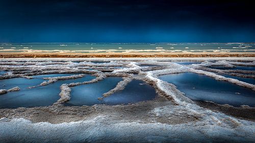 The Dead Sea