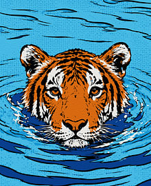 Tiger im Wasser – Pop-Art-Porträt eines Wildtiers von RAMYHEFNY-GALLERY