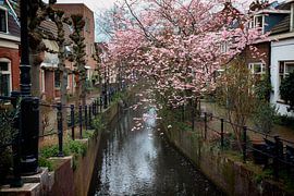 Rustiek Keizersgracht