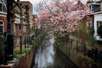 Rustiek Keizersgracht van Jan van der Knaap