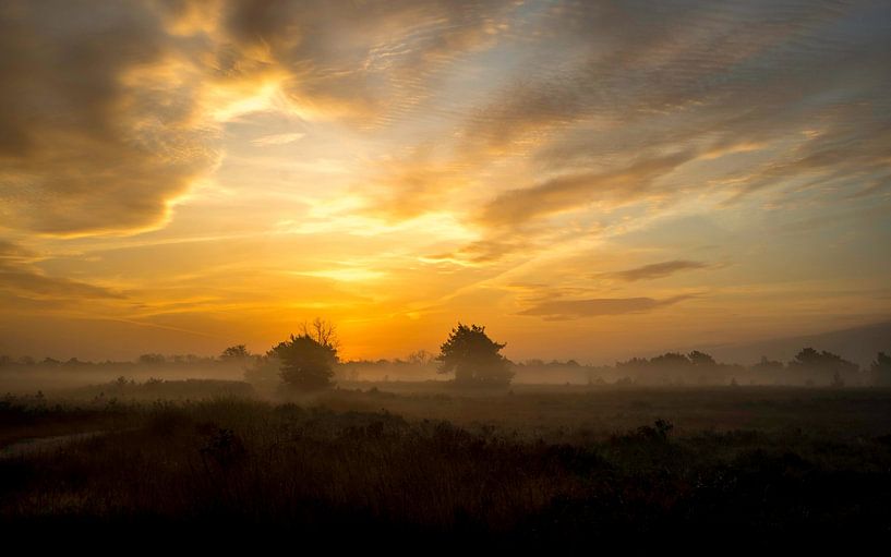 Sunrise in the Malpie by Hans de Cortie