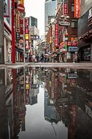 Tokyo mirrored