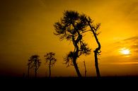 Zonsondergang op de Hoge Venen van Antwan Janssen thumbnail