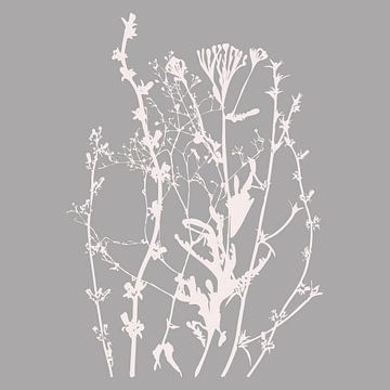 Moderne Botanische Kunst. Bloemen, planten, kruiden en grassen in grijs en wit nr. 10 van Dina Dankers