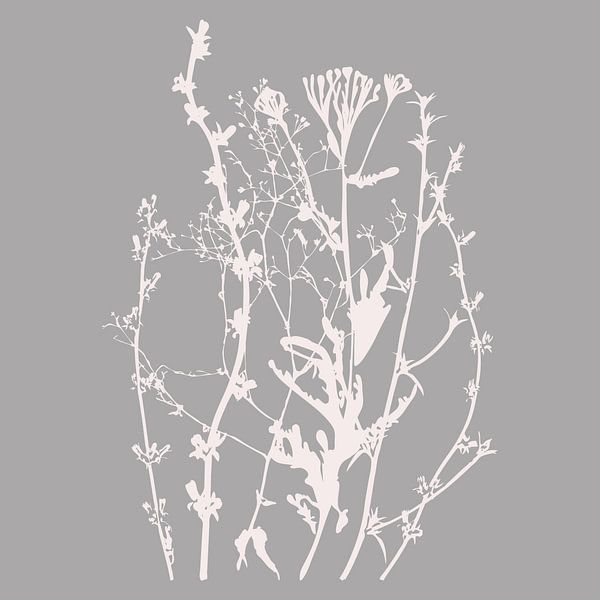 Modern Botanical Art. Flowers, plants, herbs and grasses in grey and white no. 10 by Dina Dankers