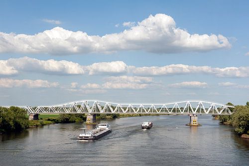 Maas bij Den Bosch