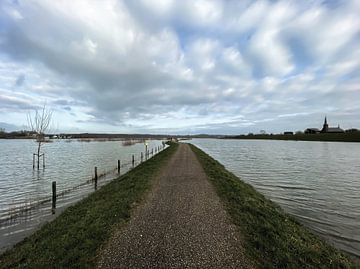 Heteren, hoogwater van Peter