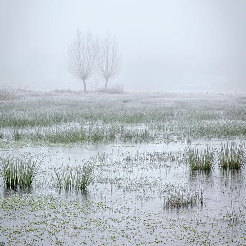 winterlandschap