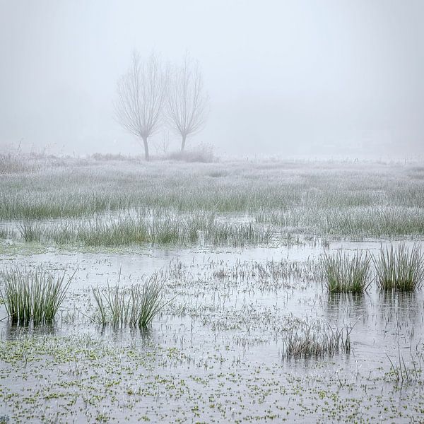 Winterlandschaft von Peter Smeekens